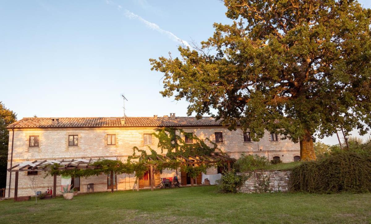 Agriturismo Dai Mori Isola del Piano エクステリア 写真
